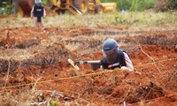 Etablir la carte d’infection des bombes et des mines dans 49 provinces et villes