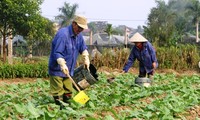 Former la main d’oeuvre rurale à Yên Bai