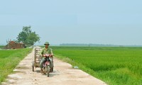 Nguyên Thi Tham, celle qui oeuvre pour les intérêts communautaires