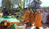 Cérémonie en hommage aux héros vietnamiens en France