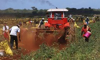 Vietnam-Cuba : dynamiser la coopération économique