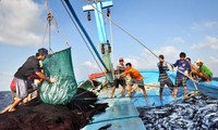 Épauler les pêcheurs au large