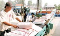 Lao Cai donne 100 tonnes de riz aux habitants du Yunnan