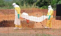 Ebola continue de progresser, les chiffres sous-évalués selon l’OMS