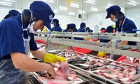 La Russie lève l’embargo sur les produits aquatiques vietnamiens