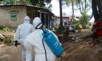 Ebola : un premier cas au Sénégal