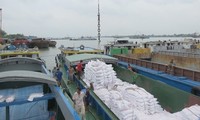 CNR améliore les voies navigables dans le delta du fleuve Rouge