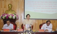 Nguyen Thi Doan en visite de travail à Ha Nam