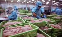 Vietnam : premier exportateur de poissons vers la Colombie