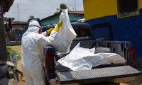 Ebola a fait plus de 2800 morts en Afrique de l'Ouest 