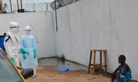 Ebola: l'épidémie «explose», le Liberia agite le spectre de la guerre civile