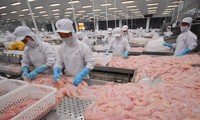 Le Vietnam est le plus important exportateur de filets de poisson au Brésil