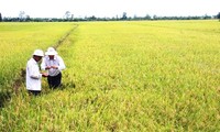 La journée mondiale de l’Alimentation au Vietnam