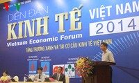  Forum économique du Vietnam en 2014