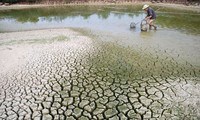 Restructurer l’agriculture pour faire face au changement climatique