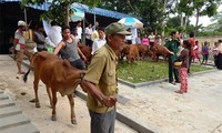 Cadeaux du président Truong Tan Sang aux foyers pauvres de Quang Tri