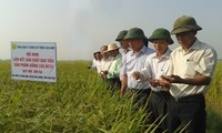 Pour le développement agricole du Delta du Mékong