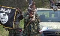 Nigeria: Boko Haram commet un massacre au bord du lac Tchad