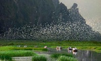 La réserve naturelle de Van Long