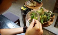 Terrarium  - une nouvelle tendance des jeunes