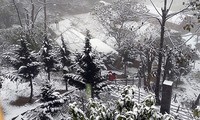 La neige et le froid affectent des centaines d’hectares de cultures maraîchères