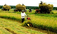 Restructurer l’agriculture : de la politique à la réalité