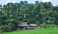 Les Tày et leurs maisons sur pilotis