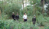 Protéger et développer la forêt en réduisant durablement la pauvreté