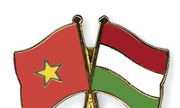 Célébration du 65ème anniversaire des relations diplomatiques Vietnam-Hongrie