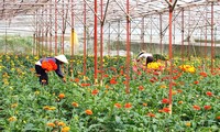 Le printemps au pied de la montagne Lang Biang