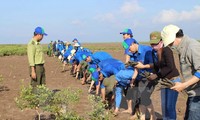 Le Vietnam œuvre avec la communauté internationale pour l’adaptation climatique