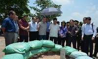 Pham Binh Minh inspecte la frontière à An Giang