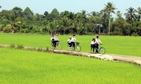 Đồng Nai: les autorités épaulent les agriculteurs