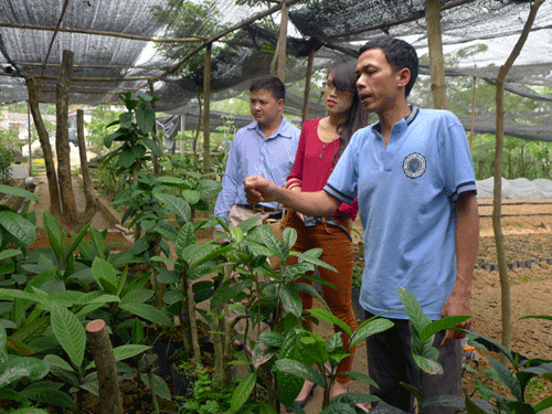 Nguyễn Ngọc Tú et la culture des plantes médicinales