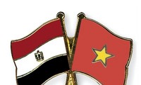 8èmes consultations politiques Vietnam-Egypte