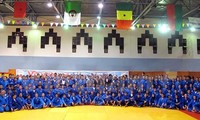 La culture vietnamienne présentée au Championnat de vovinam 2015