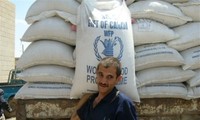 Yémen : Premier bateau du PAM accoste le port d’Aden