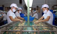 Le Vietnam voudrait exporter davantage ses produits en Italie