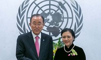 Le Vietnam, membre de l’ECOSOC 2016-2018