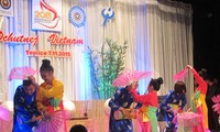 Fête de la culture vietnamienne en République tchèque