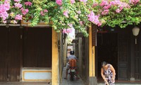 Hoi An: quand préservation rime avec mobilisation