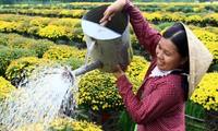 7ème conférence du comité central de l’Union des femmes vietnamiennes