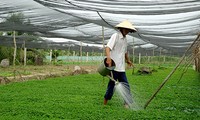 Le fonds d’assistance aux agriculteurs de Ho Chi Minh-ville en action