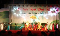 Festival du thé de Dai Tu