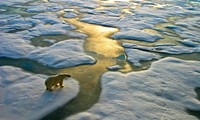 Le changement climatique: premier risque mondial en 2016