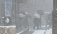 Circulation bloquée en République de Corée et au Japon à cause de la neige