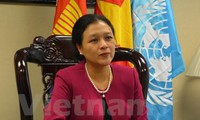 Vietnam : opportunités et défis du développement durable