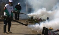 Virus Zika : l’épidémie progresse