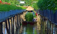 Le Tet au village horticole de Sa Đéc