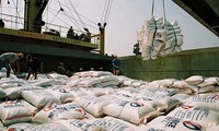 Le Vietnam élargit les débouchés d’exportation de riz